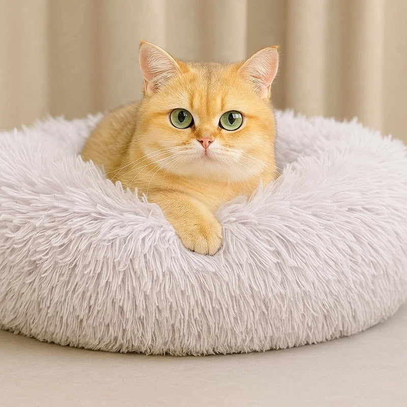 Chat blanc sur panier rond en peluche vert menthe, doux et confortable