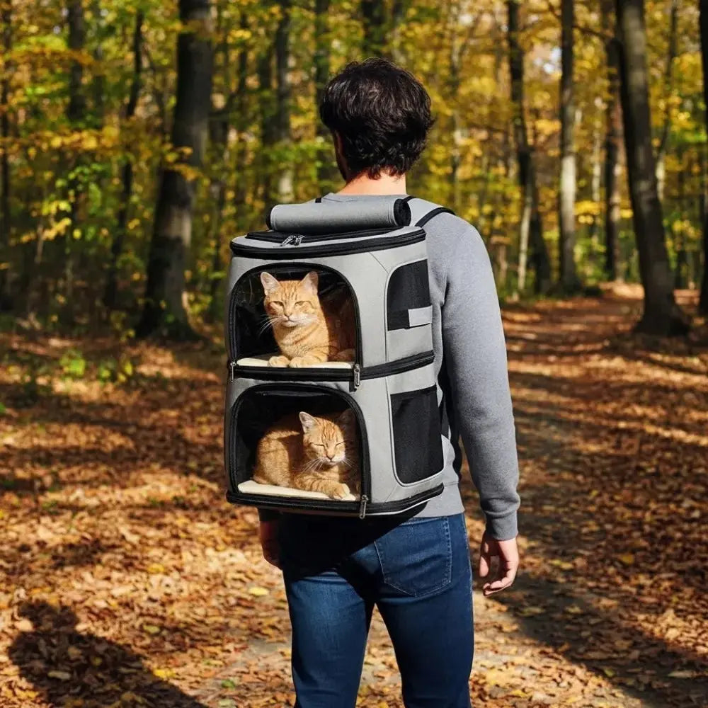 Deux chats roux installés dans un sac à dos de transport double gris, porté par un homme en balade dans une forêt en automne.