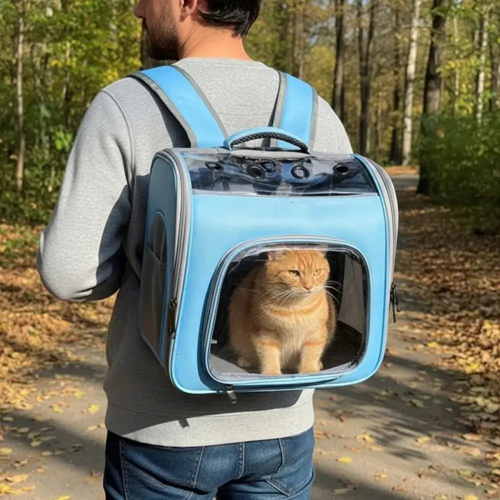 Chat roux assis dans un sac à dos de transport bleu transparent, porté par un homme marchant sur un chemin de forêt.