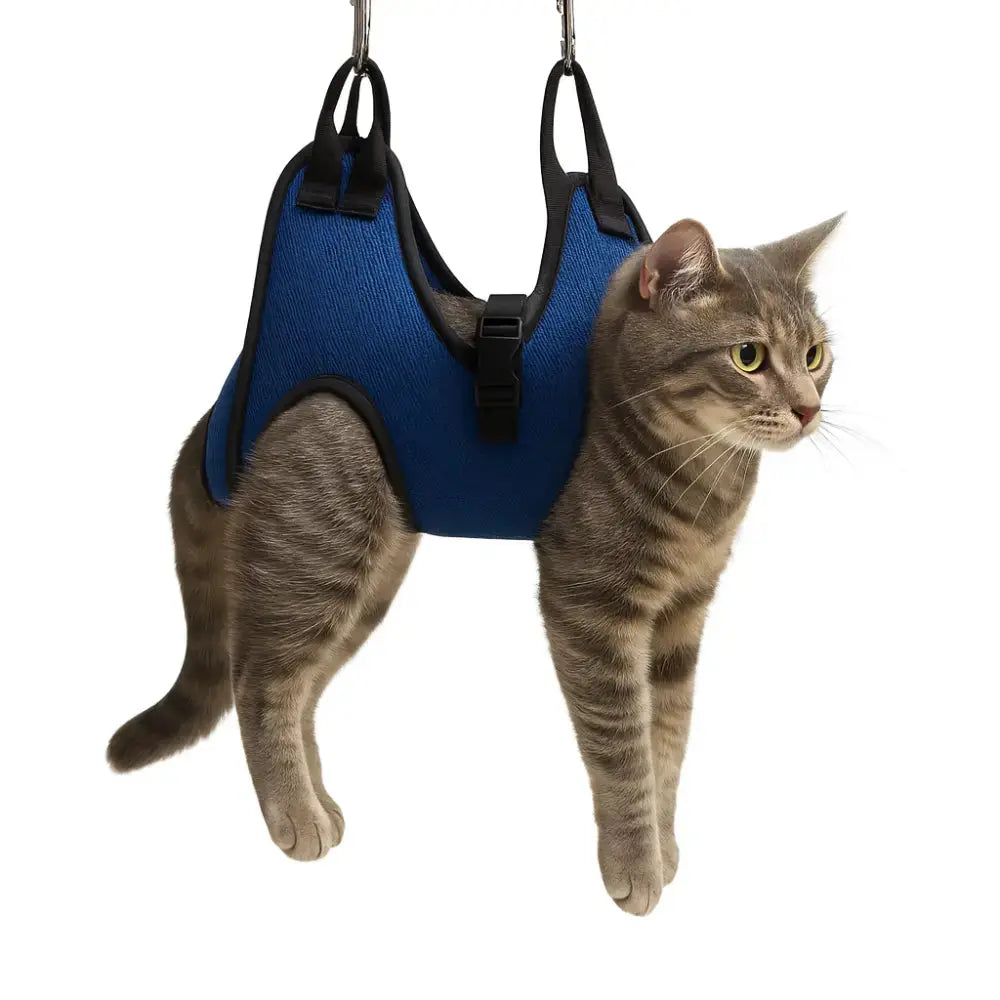 Sac de contention pour toilettage de chat, couleur bleu, avec sangles ajustables