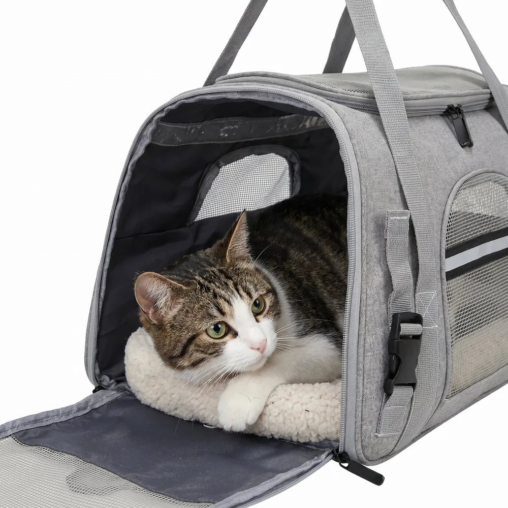 Chat couché sur le fond matelassé à l'intérieur du sac de transport gris dont la porte latérale est ouverte.