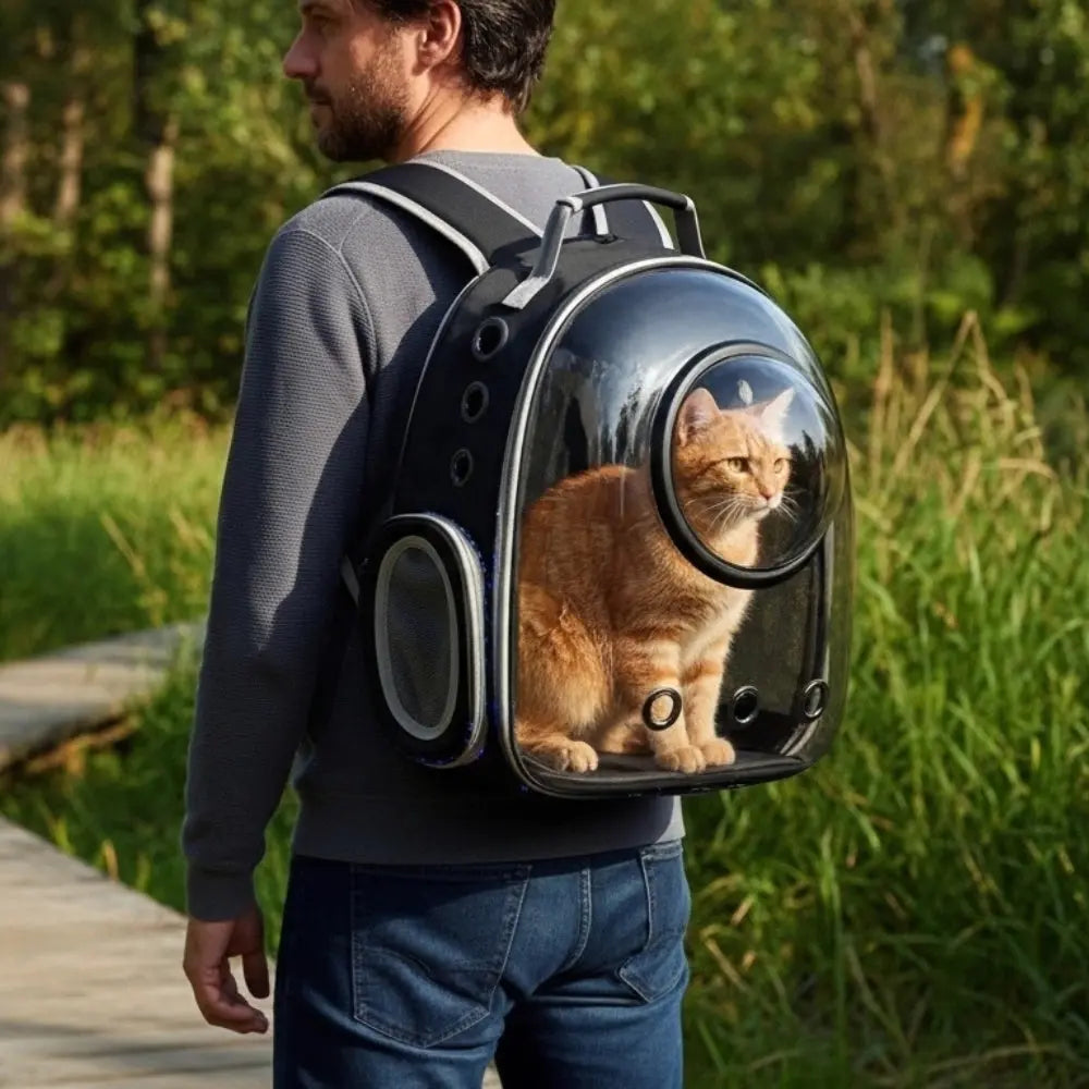 black backpack with transparent porthole and ginger cat